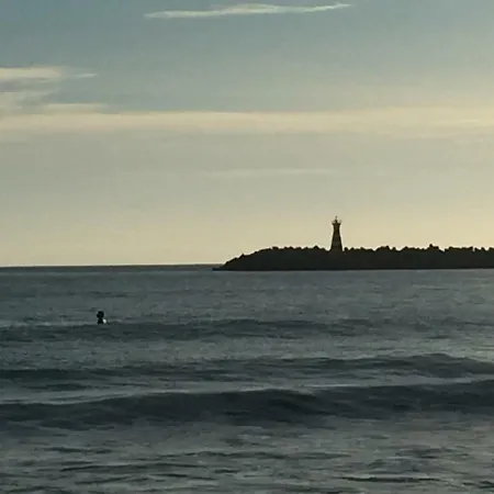 Alto Mar 페니케