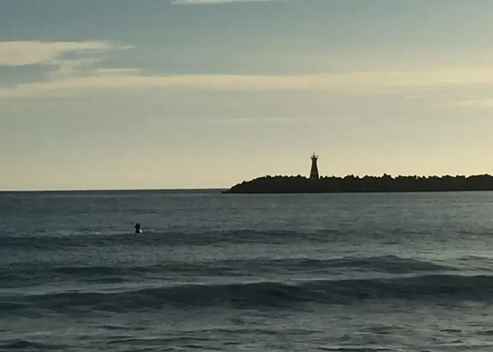 Alto Mar Пениши