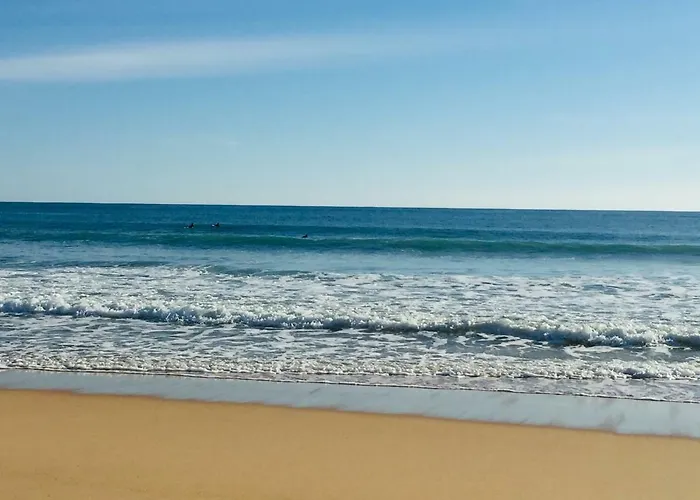 Alto Mar * Пениши